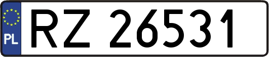 RZ26531