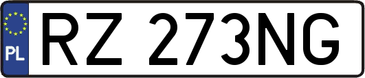 RZ273NG