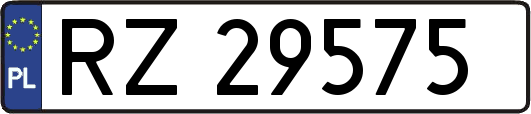 RZ29575