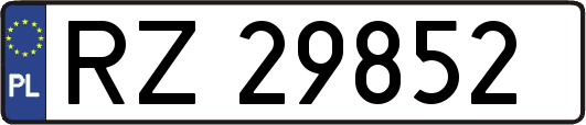 RZ29852