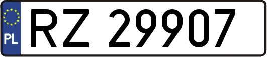 RZ29907