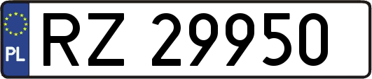 RZ29950