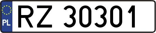 RZ30301