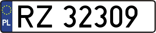 RZ32309