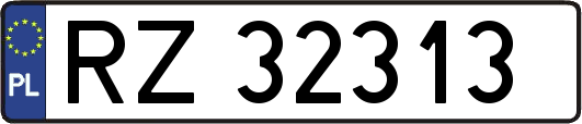 RZ32313
