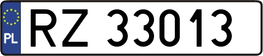 RZ33013
