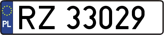 RZ33029