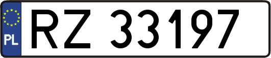 RZ33197