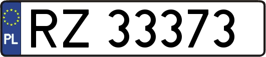 RZ33373