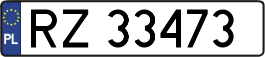 RZ33473