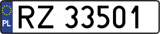 RZ33501