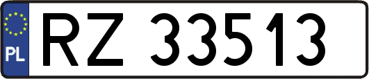 RZ33513