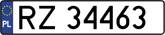 RZ34463