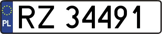 RZ34491