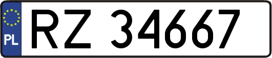 RZ34667