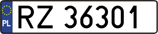 RZ36301