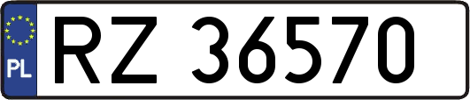 RZ36570