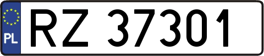 RZ37301