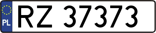 RZ37373