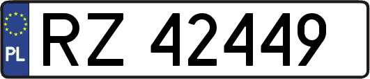 RZ42449