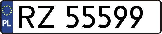 RZ55599