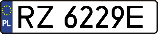 RZ6229E