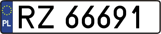 RZ66691