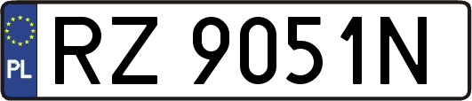 RZ9051N