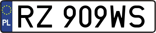 RZ909WS