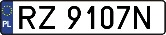 RZ9107N