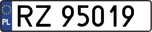 RZ95019