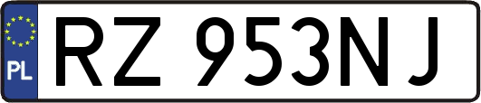 RZ953NJ