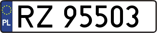 RZ95503