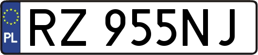 RZ955NJ