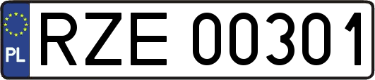 RZE00301