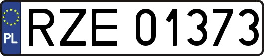 RZE01373
