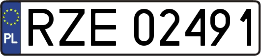 RZE02491