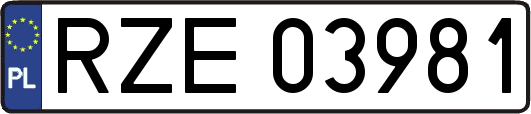 RZE03981
