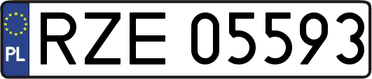 RZE05593