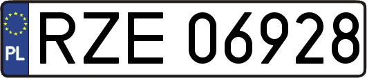 RZE06928