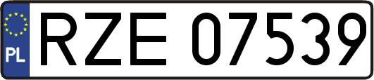 RZE07539