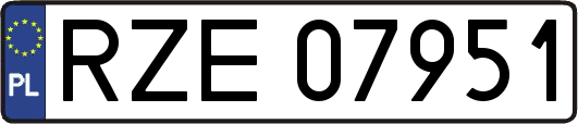 RZE07951