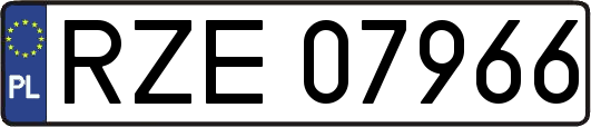 RZE07966