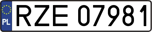 RZE07981
