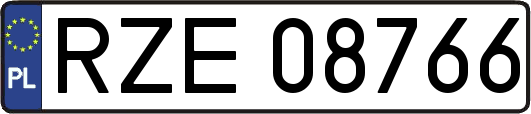 RZE08766