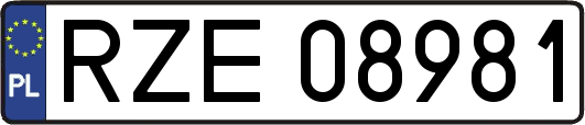 RZE08981