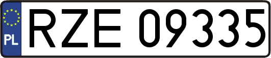 RZE09335