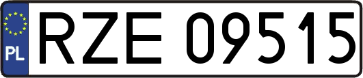 RZE09515