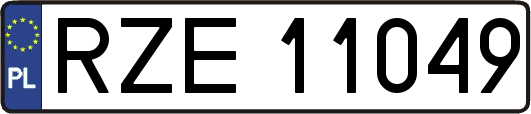 RZE11049