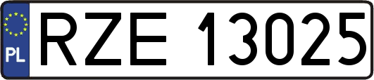 RZE13025
